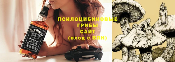 дмт Абинск