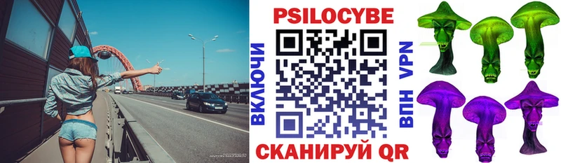 как найти   Протвино  hydra маркетплейс  Галлюциногенные грибы Psilocybine cubensis 