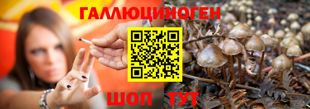 Протвино  Псилоцибиновые грибы прущие грибы  Псилоцибиновые грибы MAGIC MUSHROOMS  Вход с VPN 